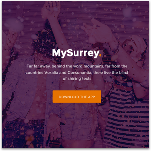 University of Surrey MySurrey case study
